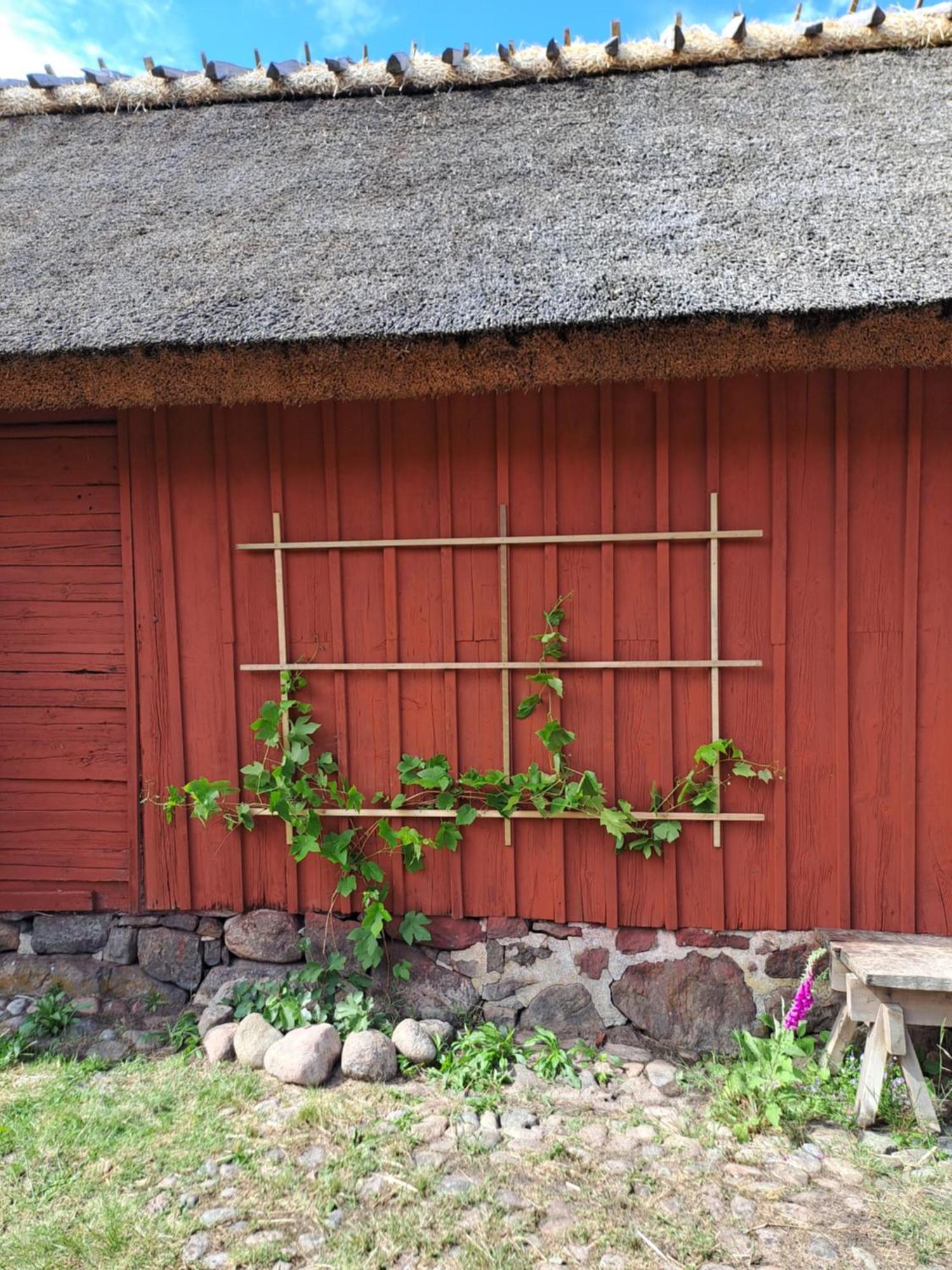 Apelviksgarden B&B Varberg Exterior foto